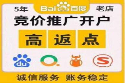 网络营销实战：成功竞价推广案例分析